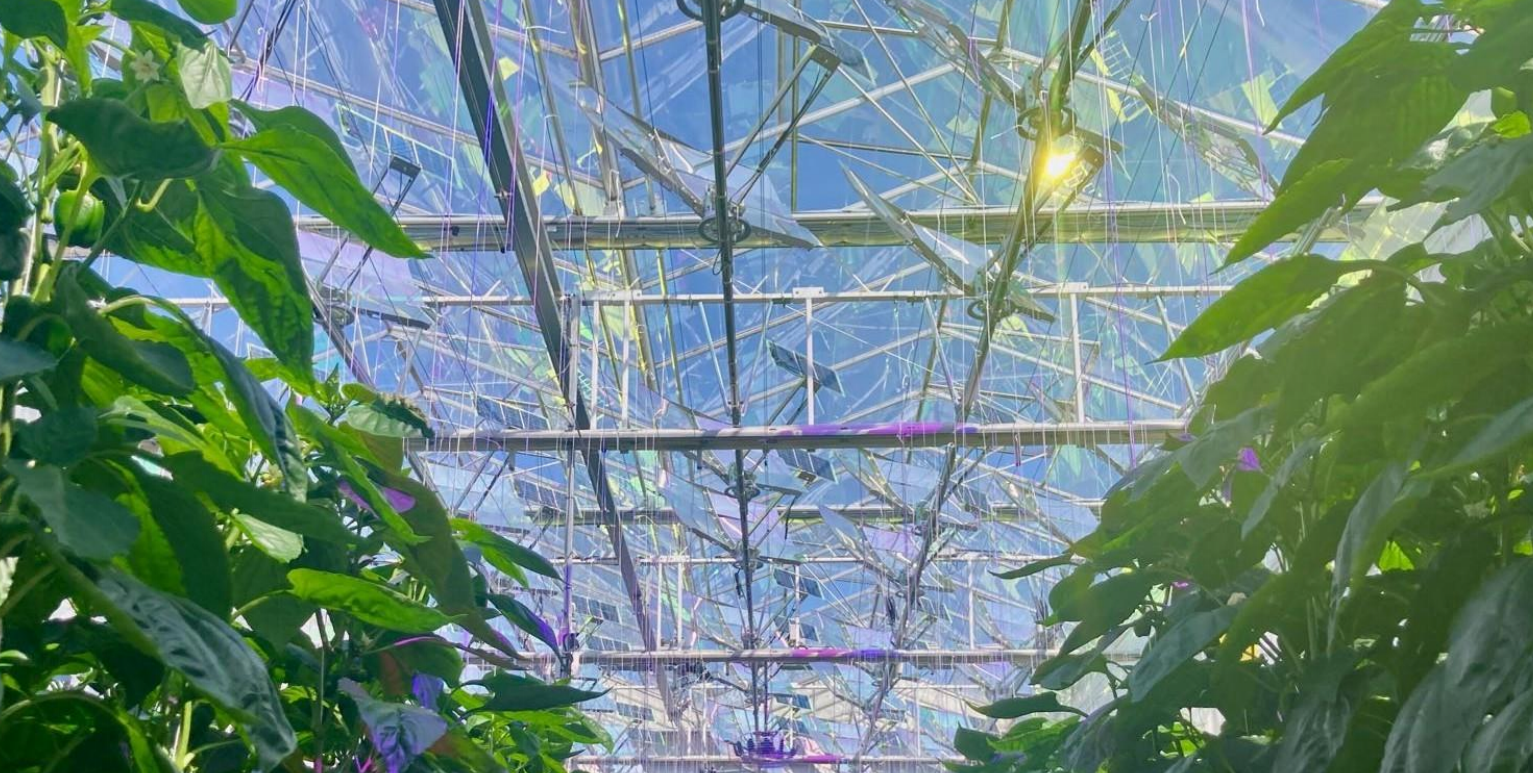 グリーンハウス用太陽光発電モジュール